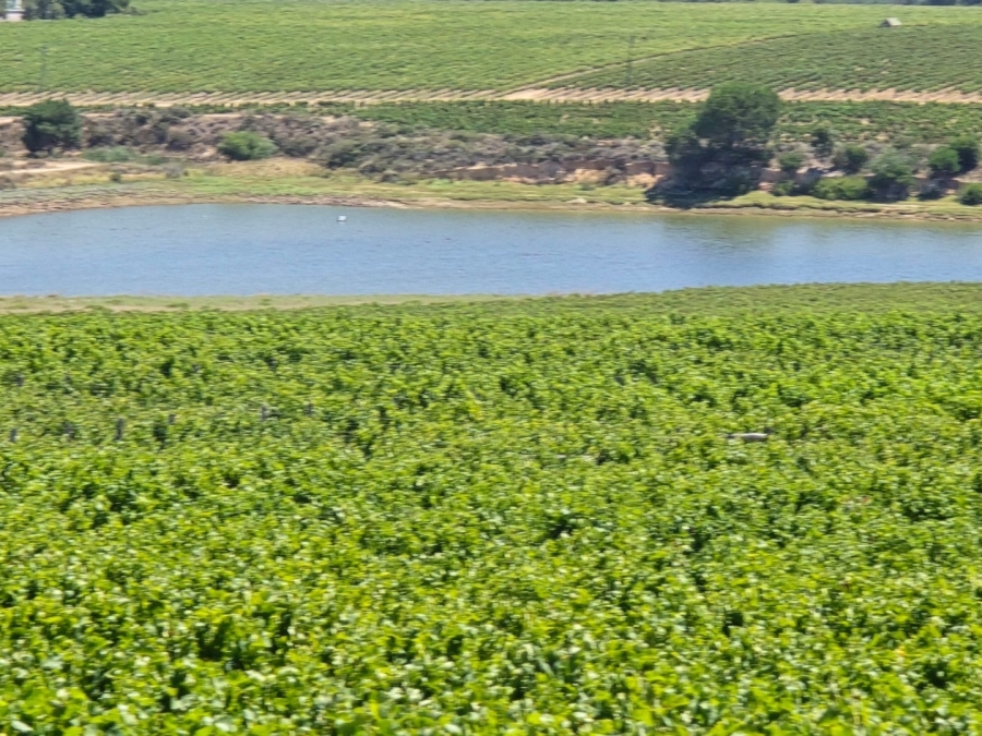 5 Bedroom Property for Sale in Stellenbosch Farms Western Cape